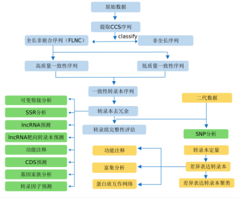 算法流程